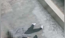 张家口头条最新爆料,重大事件背后真相揭晓！